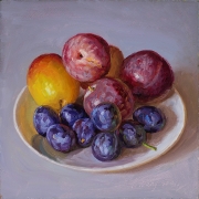 211510-plums-and-prunes-8x8