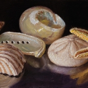 220112-seashells-10x5