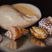220208-seashells-10x5