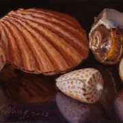 220513-seashells-10x5