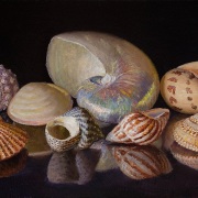 220524-seashells-commission1-12x8