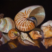 220524-seashells-commission2-12x8