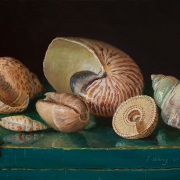 220613-seashells-12x9