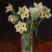 220617-Daffodil-flower-8x10