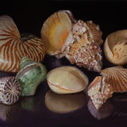 220622-seashells-12x9