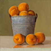 220812-apricots-in-a-small-bucket-8x8