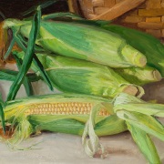 220814-fresh-ears-of-corn-12x10