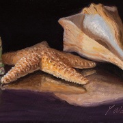 220825-seashells-10x5