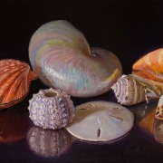 221007-seashells-12x8