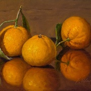 230128-madarin-oranges-8x6