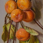230206-persimmons-8x12