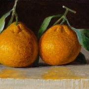 230218-two-mandarin-oranges-7x5