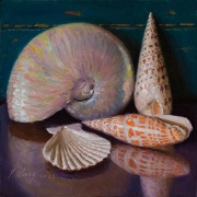 230226-seashells-8x8