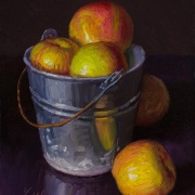 230307-apples-in-a-metal-bucket-8x10