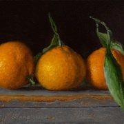 230311-mandarin-oranges-8x6
