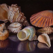 230324-seashells-12x9