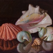 230408-seashells-10x8