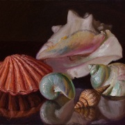 230510-seashell-commision-10x8