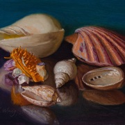 230512-seashells-10x8