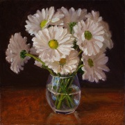 230518-daisy-flower-8x8