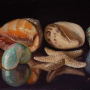230529-seashells-7x12