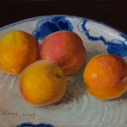 230628-apricots-on-a-blue-and-white-plate-7x6