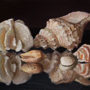 230811-seashells-with-a-coral-10x8