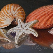 230822-seashells-10x5