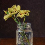 230828-Daffodil-flower-6x8
