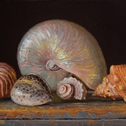 230901-seashells-11and-halfx7