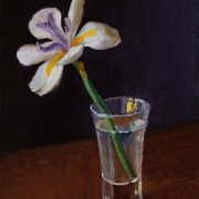 230913-Daffodil-flower-6x8