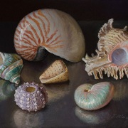 231010-seashells-12x9