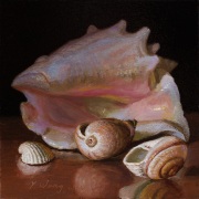 231027-seashells-8x8