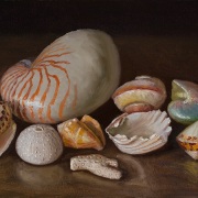 231117-seashells-12x9