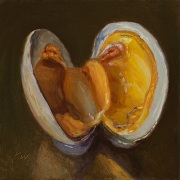 231127-an-opened-clam-5x5