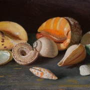 231129-seashells-12x8