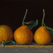 231219-tangerines-8x6