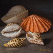 231223-seashells-8x8