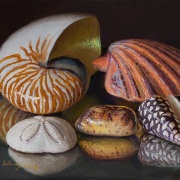 240121-seashells-10x8