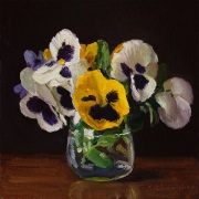 240129-pansy-flower-8x8