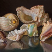 240214-seashells-12x9