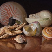 240301-seashells