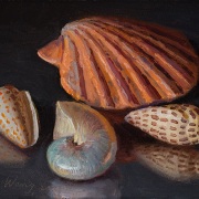 240322-seashells-8x6