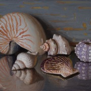 240407-seashells-10x8