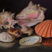 240407-seashells-12x9