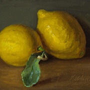 240407-two-lemons-7x5