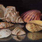 240408-seashells-2-12x9