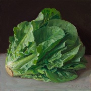 240511-a-lettuce-8x8