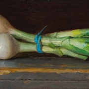 240515-a-bunch-of-green-onions-10x5