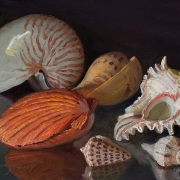 240523-seashells-12x9